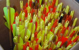 Entraînements pendant les vacances