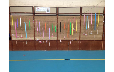 matinée conviviale au gymnase de la Maîtrise à Douvres le samedi 25 janvier 2020 à partir de 10 heures 30
